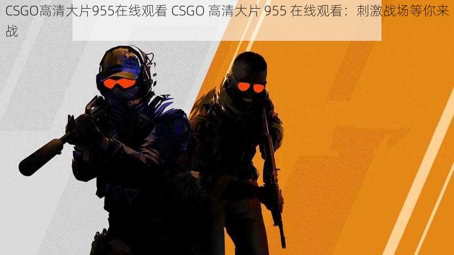 CSGO高清大片955在线观看 CSGO 高清大片 955 在线观看：刺激战场等你来战