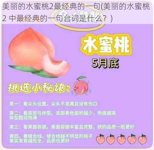 美丽的水蜜桃2最经典的一句(美丽的水蜜桃 2 中最经典的一句台词是什么？)