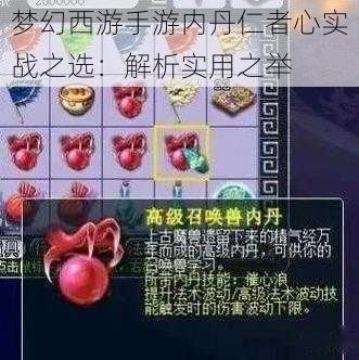 梦幻西游手游内丹仁者心实战之选：解析实用之举