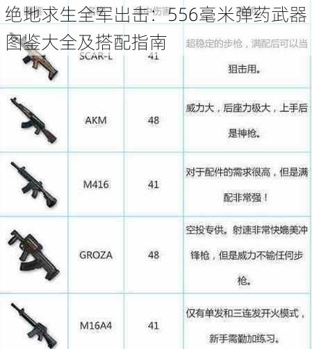 绝地求生全军出击：556毫米弹药武器图鉴大全及搭配指南