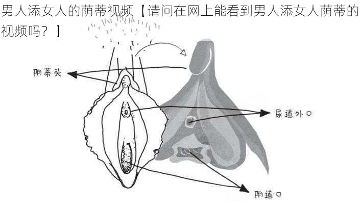 男人添女人的荫蒂视频【请问在网上能看到男人添女人荫蒂的视频吗？】