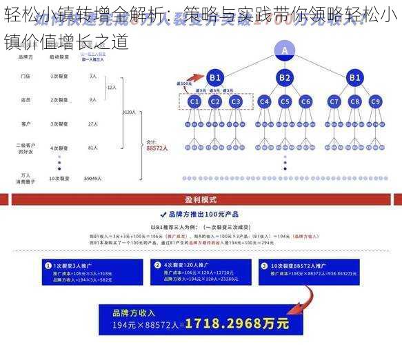 轻松小镇转增全解析：策略与实践带你领略轻松小镇价值增长之道