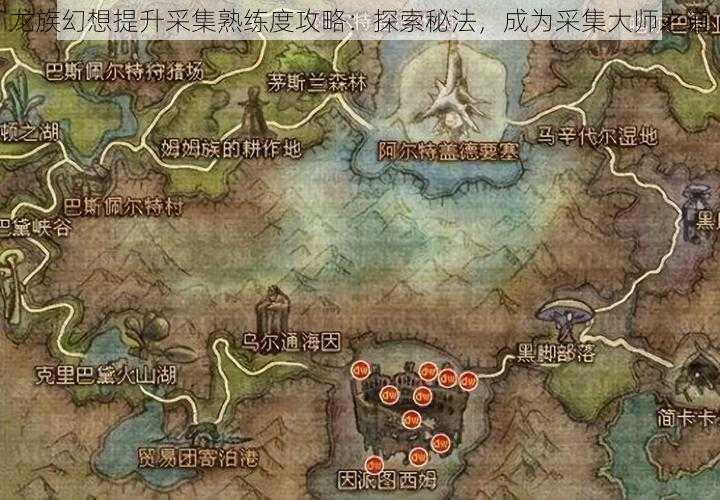 龙族幻想提升采集熟练度攻略：探索秘法，成为采集大师之道