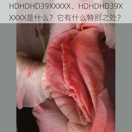 HDHDHD39XXXXХ、HDHDHD39XXXXХ是什么？它有什么特别之处？