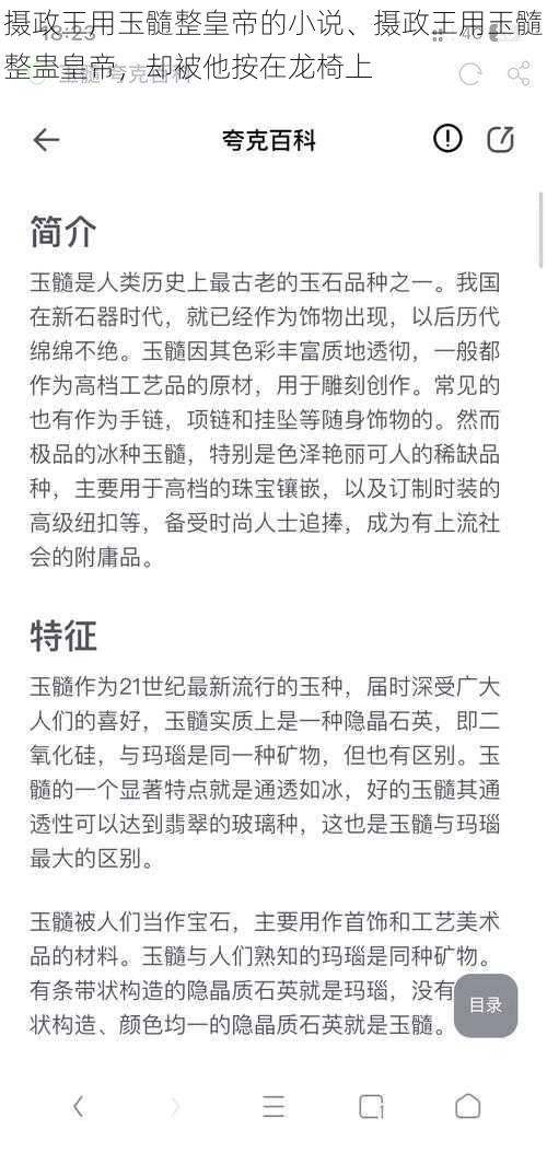 摄政王用玉髓整皇帝的小说、摄政王用玉髓整蛊皇帝，却被他按在龙椅上