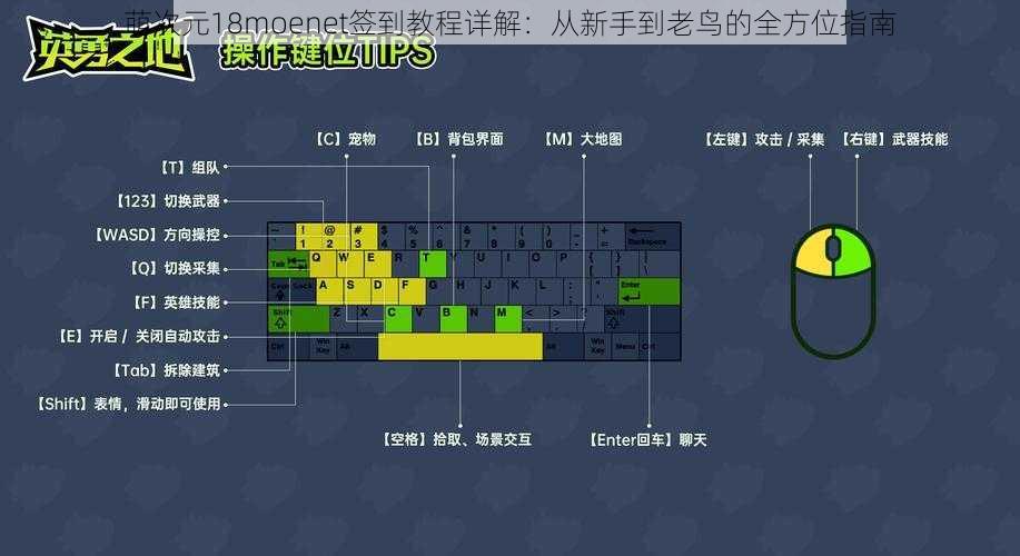 萌次元18moenet签到教程详解：从新手到老鸟的全方位指南