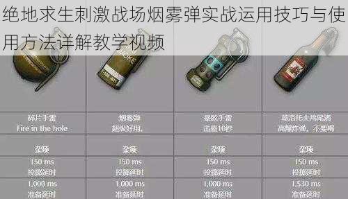 绝地求生刺激战场烟雾弹实战运用技巧与使用方法详解教学视频