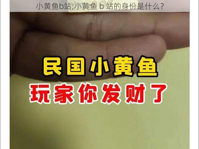 小黄鱼b站;小黄鱼 b 站的身份是什么？