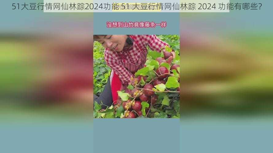 51大豆行情网仙林踪2024功能 51 大豆行情网仙林踪 2024 功能有哪些？