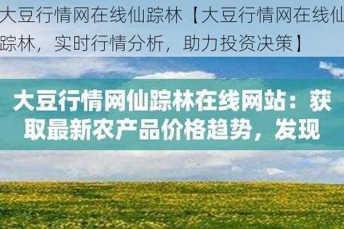 大豆行情网在线仙踪林【大豆行情网在线仙踪林，实时行情分析，助力投资决策】