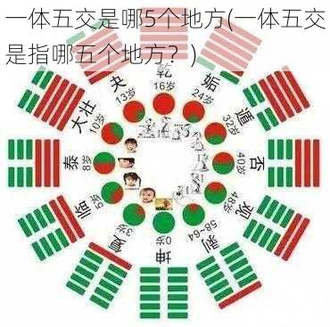 一体五交是哪5个地方(一体五交是指哪五个地方？)