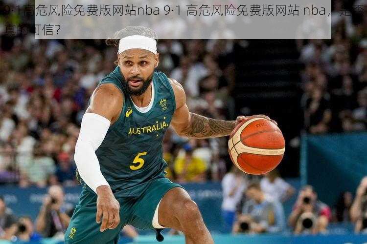 9·1高危风险免费版网站nba 9·1 高危风险免费版网站 nba，是否真的可信？