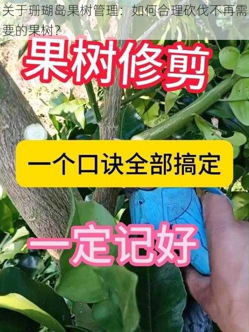 关于珊瑚岛果树管理：如何合理砍伐不再需要的果树？