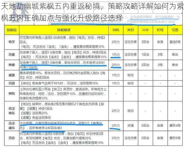 天地劫幽城紫枫五内重返秘境，策略攻略详解如何为紫枫五内正确加点与强化升级路径选择