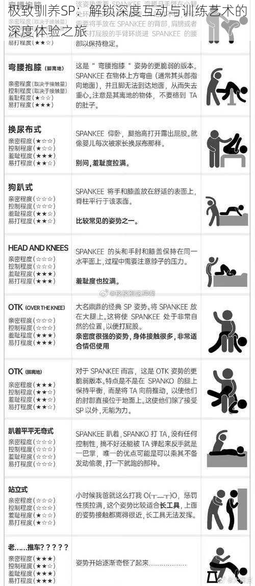 极致驯养SP：解锁深度互动与训练艺术的深度体验之旅