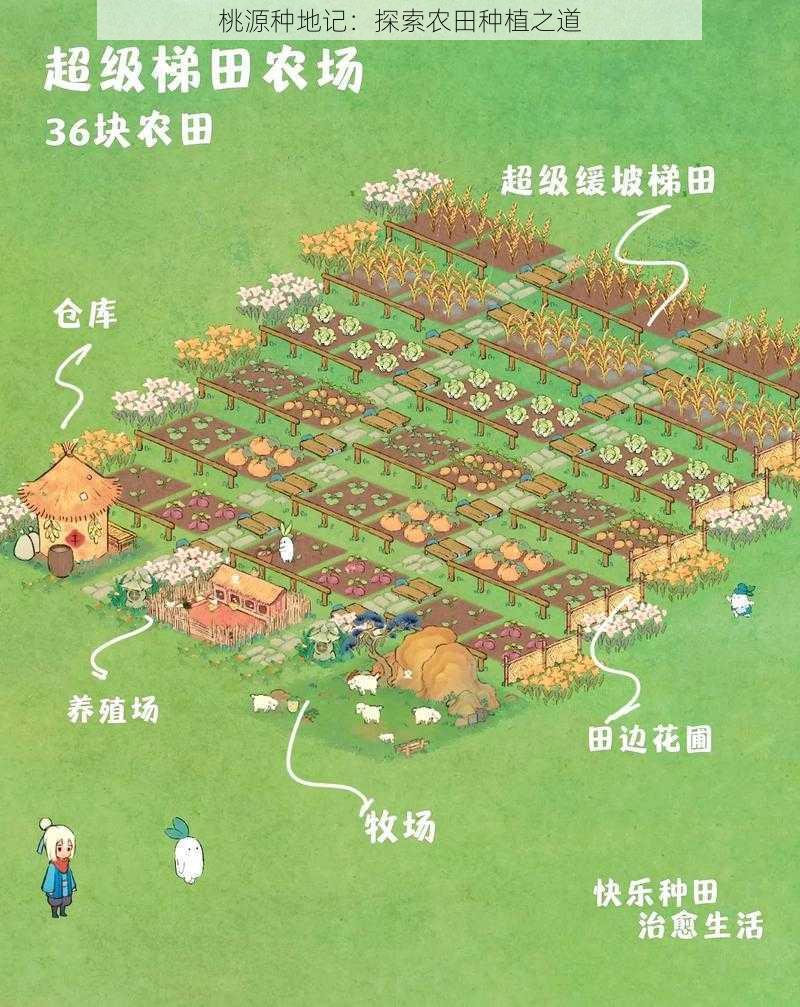 桃源种地记：探索农田种植之道