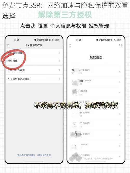 免费节点SSR：网络加速与隐私保护的双重选择