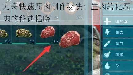 方舟快速腐肉制作秘诀：生肉转化腐肉的秘诀揭晓