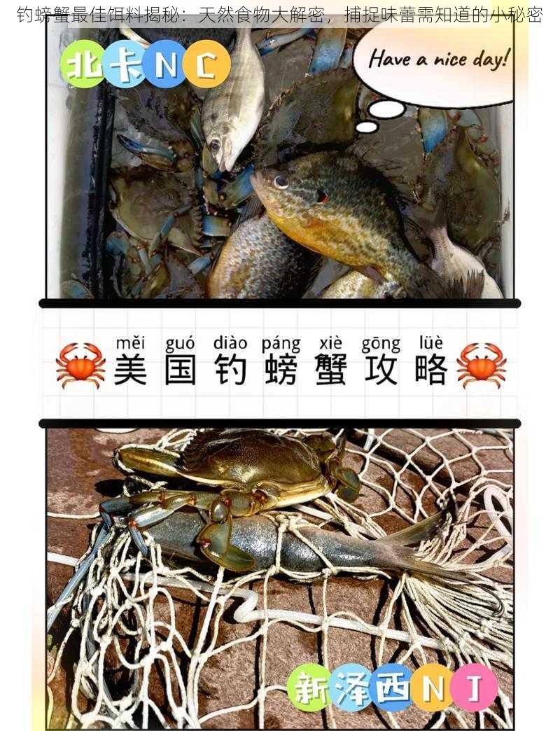 钓螃蟹最佳饵料揭秘：天然食物大解密，捕捉味蕾需知道的小秘密