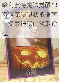 哈利波特魔法觉醒独特萌宠嗅嗅获取指南：探索神秘的获取途径