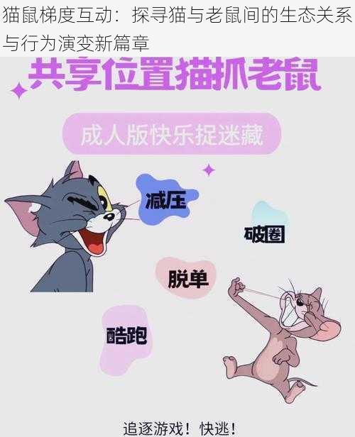 猫鼠梯度互动：探寻猫与老鼠间的生态关系与行为演变新篇章