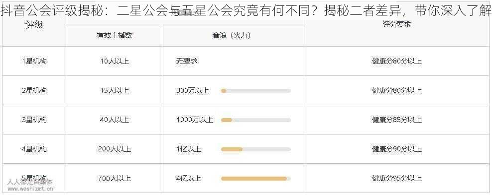 抖音公会评级揭秘：二星公会与五星公会究竟有何不同？揭秘二者差异，带你深入了解