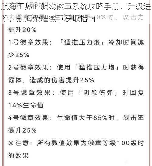 航海王热血航线徽章系统攻略手册：升级进阶，航海荣耀徽章获取指南