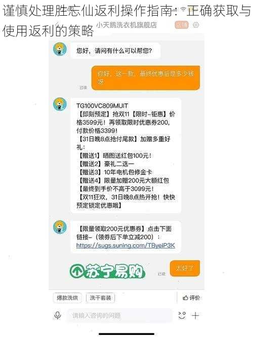 谨慎处理胜忘仙返利操作指南：正确获取与使用返利的策略