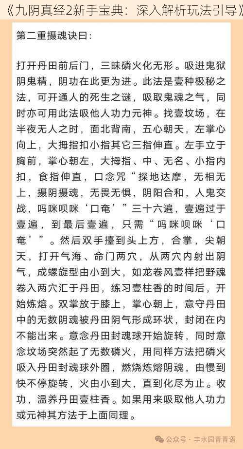 《九阴真经2新手宝典：深入解析玩法引导》