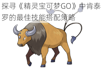 探寻《精灵宝可梦GO》中肯泰罗的最佳技能搭配策略