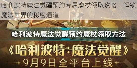 哈利波特魔法觉醒预约专属魔杖领取攻略：解锁魔法世界的秘密通道