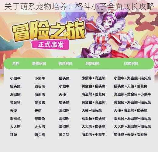 关于萌系宠物培养：格斗小子全面成长攻略