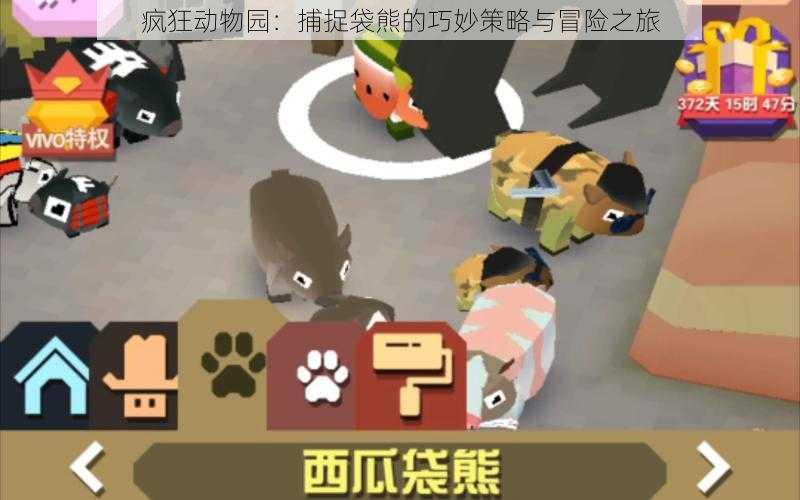 疯狂动物园：捕捉袋熊的巧妙策略与冒险之旅