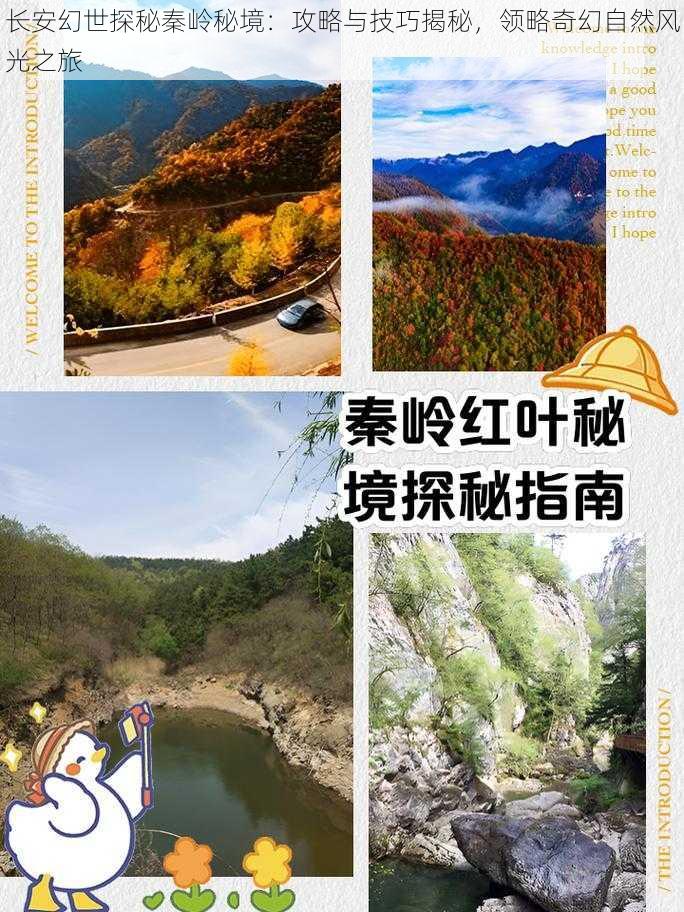 长安幻世探秘秦岭秘境：攻略与技巧揭秘，领略奇幻自然风光之旅