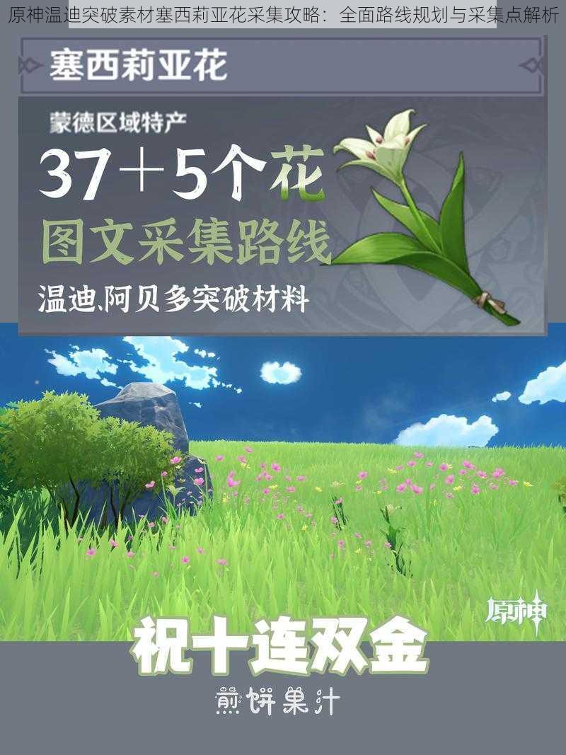 原神温迪突破素材塞西莉亚花采集攻略：全面路线规划与采集点解析